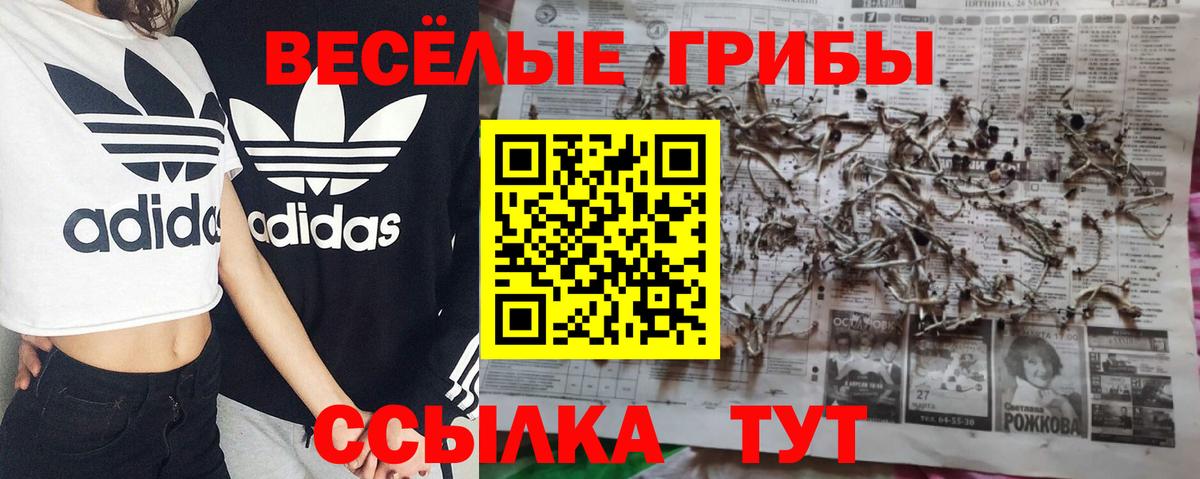 Псилоцибиновые грибы прущие грибы  купить  цена  Грязи  Вход с VPN 